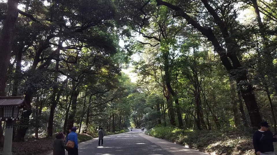 The Downsides of Solo Travel: What I Learned Traveling&nbsp;Alone