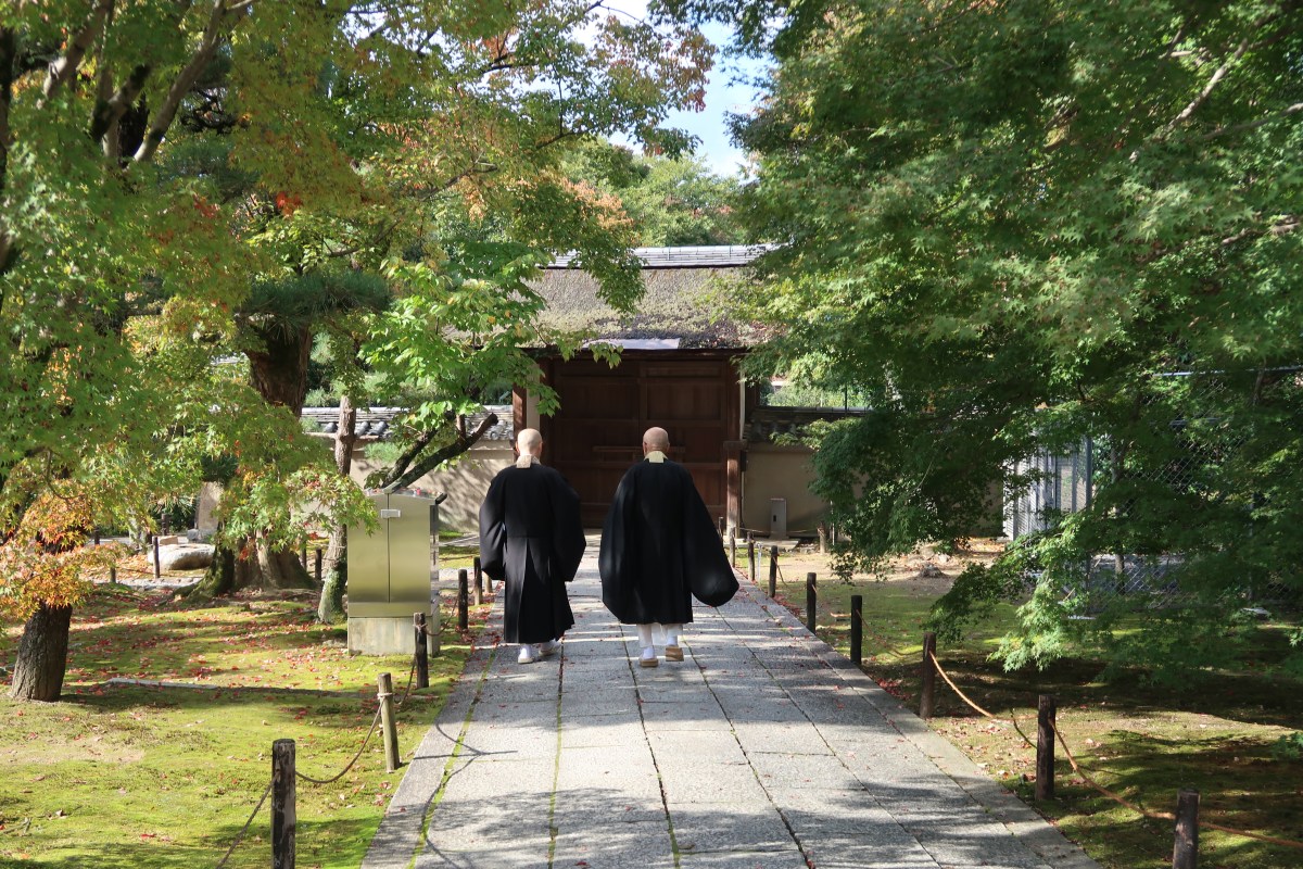 The Countdown Begins: Japan in&nbsp;November!