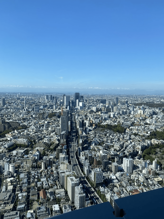 View from Mori Tower in Roppongi, Tokyo, Japan. 