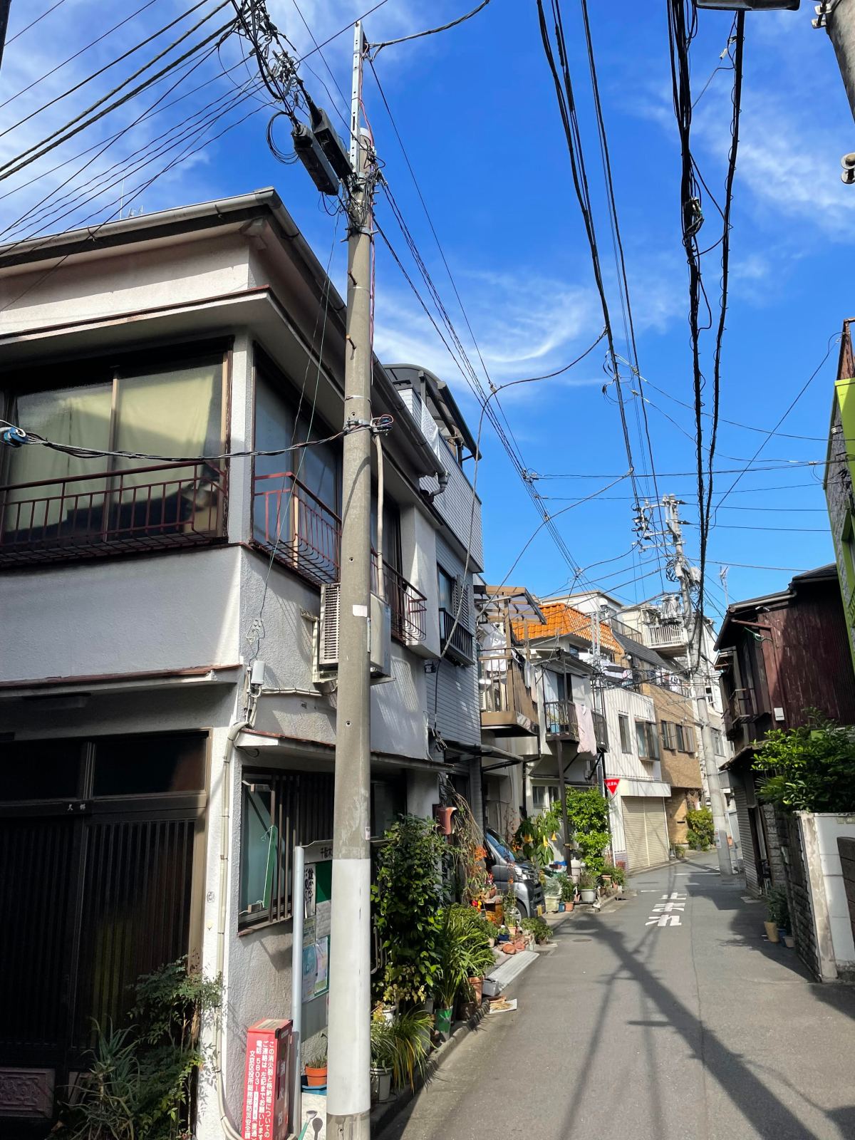 A Neighborhood I Didn’t Plan to&nbsp;Love